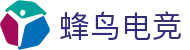 蜂鸟电竞畅玩平台 | 立即在线体验热门竞技游戏